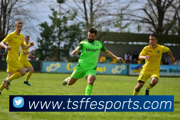 球赛投注服务体系